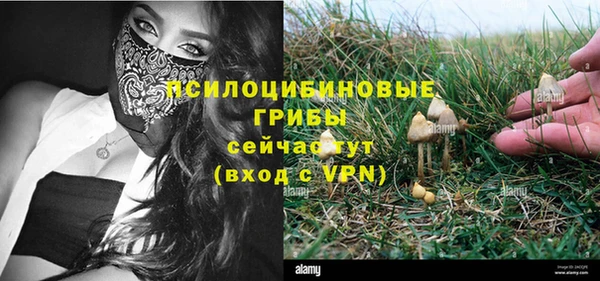 не бодяженный Армянск