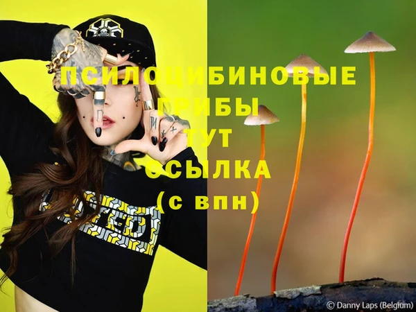 не бодяженный Армянск